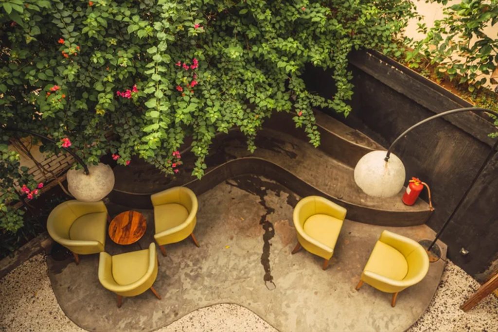 Modern cafe seating area with nature-inspired ambience showcasing cafe and restaurant branding through interior design and customer experience