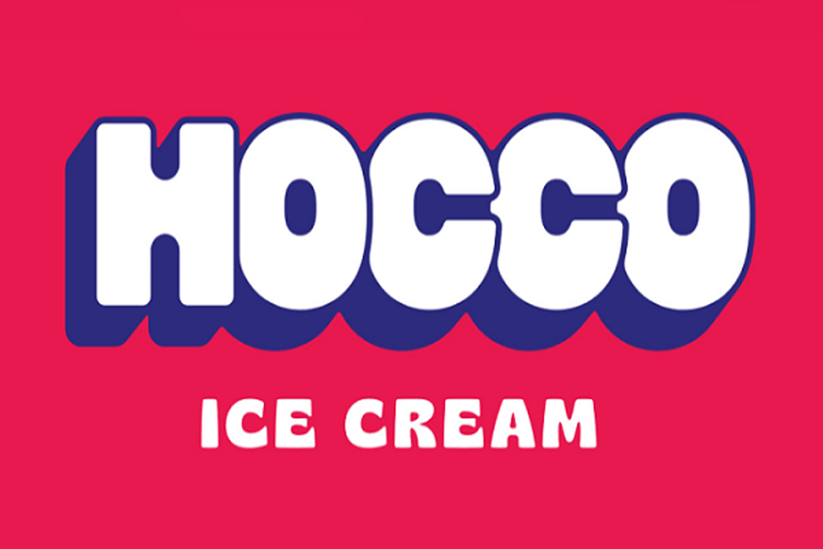 Hocco Ice Cream brand showcasing how successful D2C brands build customer loyalty and brand recall through social media marketing